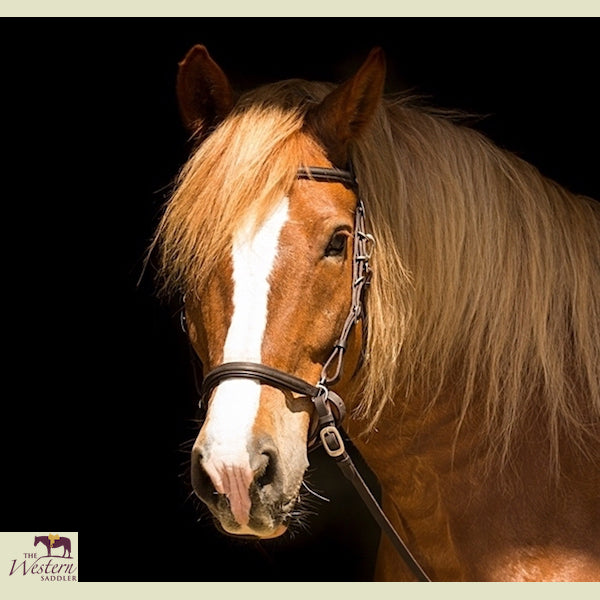 Toorx Disco Ghisa Gommato Kg 20 Diam.50 Mm – Srl - Foto 10