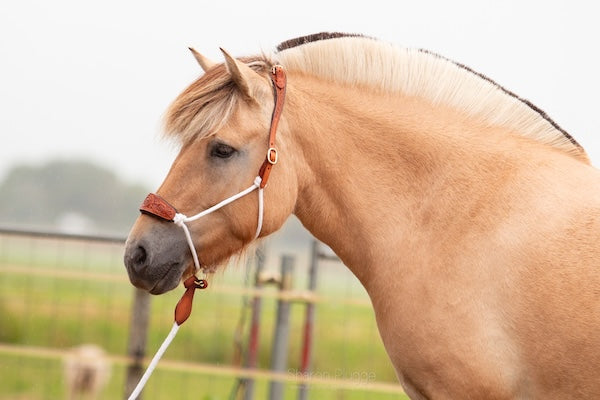 EDIX® Resi Rope Halter