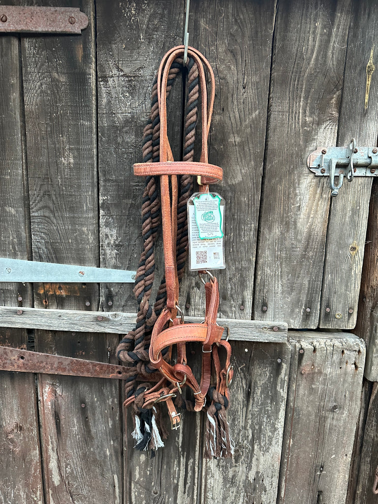 Visalia Sidepull with Reins