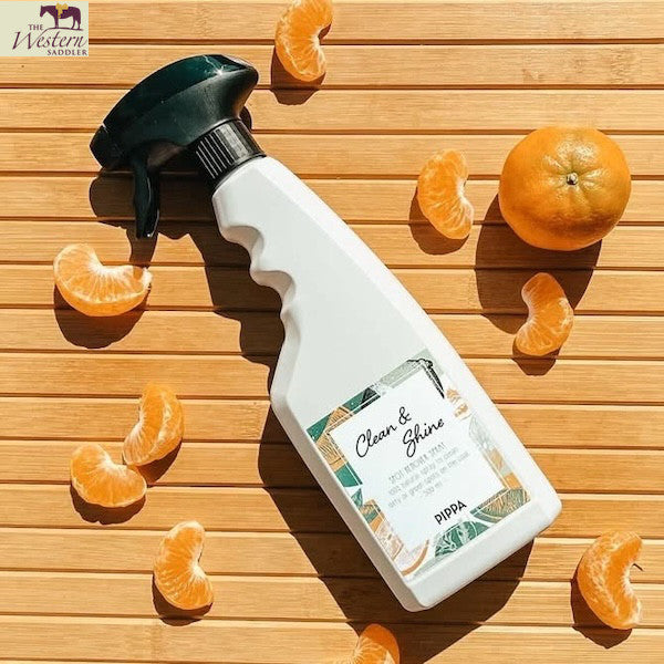 PIPPA®️ Clean & Shine Spray 500ml