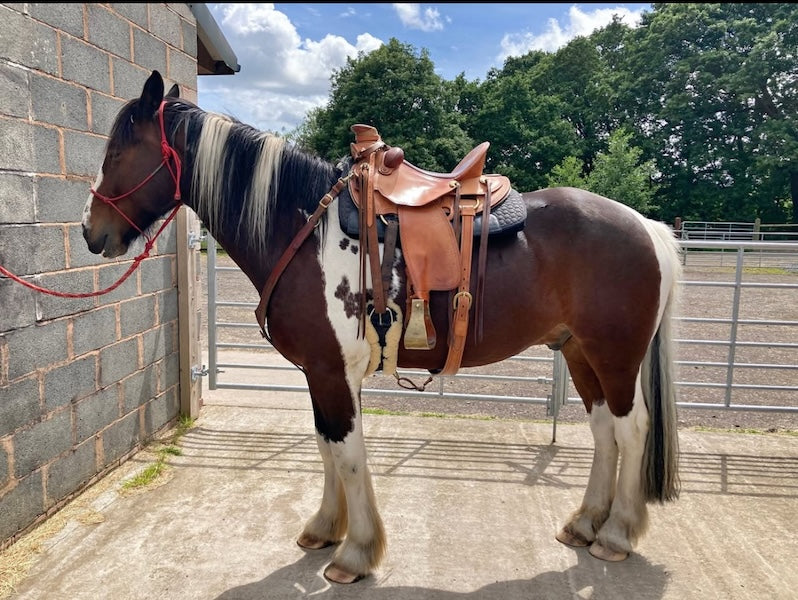 TWS Custom Buckaroo Saddle