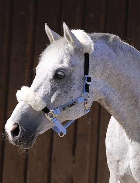 Barefoot® Headcollar Stretch & Breath®