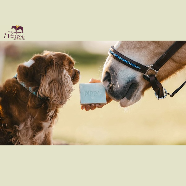 PIPPA®️Natural Shampoo Bars