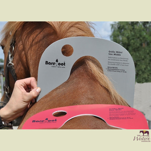 Horse Correct Saddle Width How To Measure Saddle Width 2025